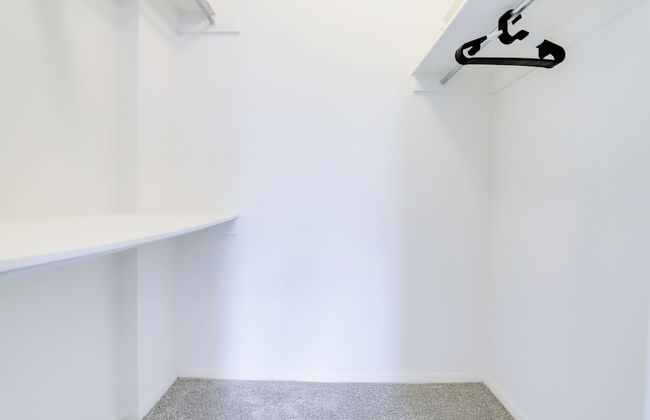 Comfortable Apt in Crystal City - Photo 18