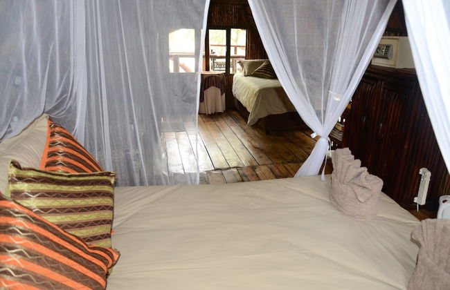 Pezulu Tree House Lodge - Foto 8