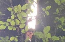 Dépendance du château de Remehan rénovée avec goût - Foto 9