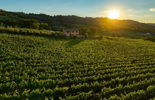 Scappo in Umbria, Mevania Villa - Foto 35