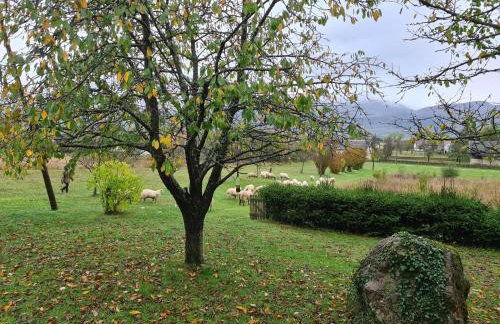 Forestside House Gacka with relax area - Foto 24