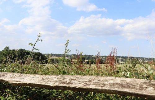 The Orchard - Photo 78