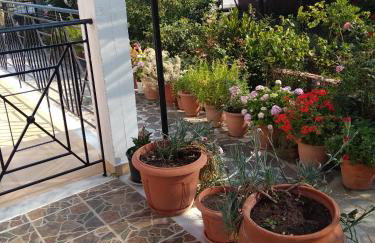 Summer Dream - Foto 18