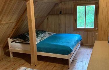 Dom z linią brzegową Narwi - Photo 44