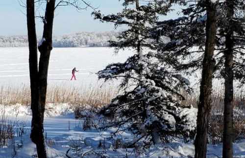 Classic American Getaway in a Lakeside Cabin near Detroit Lakes and Itasca State Park, Minnesota - Foto 17