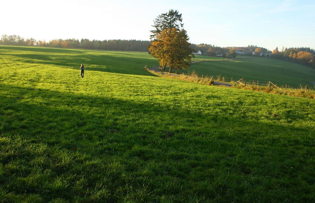 Countryside Holiday Home in Theux With Fenced Garden and BBQ - Foto 32