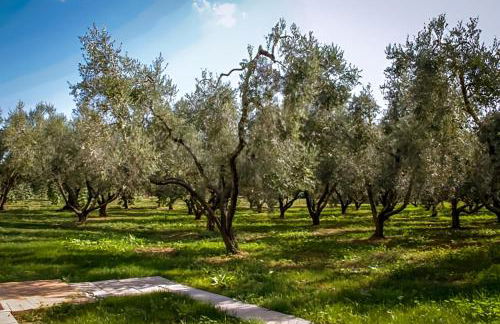 Borgo Rurale San Giusto - Foto 36