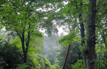 Station View Lodge - Near Balbirnie House Markinch - Foto 121