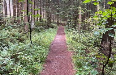 Gipfel Lounge - Photo 19