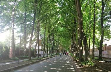 Casa vacanza l’archetto - Foto 14