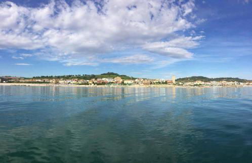 Stella di mare - Foto 26