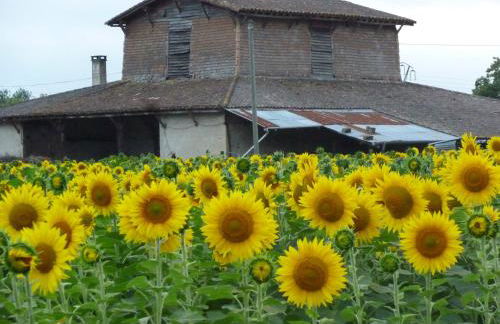 Tour Rouge Gites - Foto 20