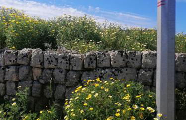 A casa di Marisa - Foto 52