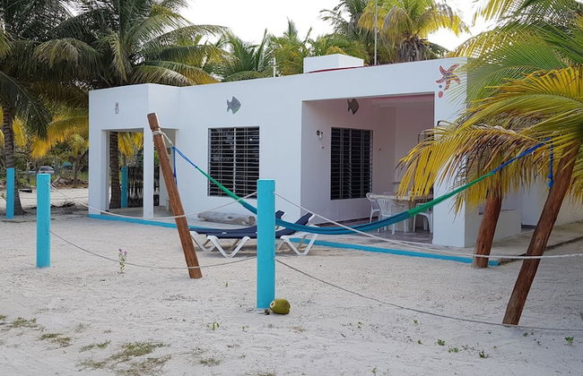 Casa de los peces - Foto 17