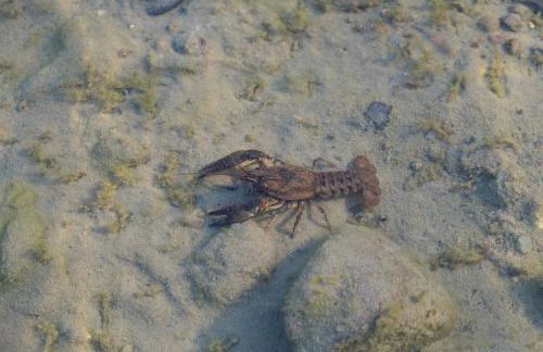 Villa Warchały - Foto 30