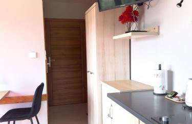 Willa Chrycówka - Jacuzzi, Basen, Sauna - Foto 39