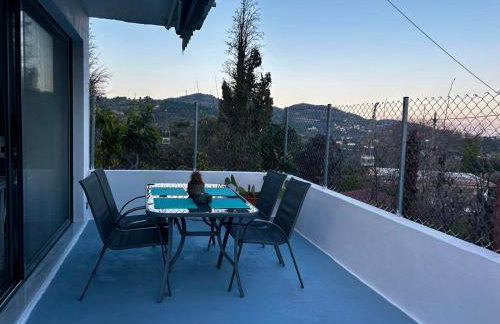 Petrino Minimal - Foto 44