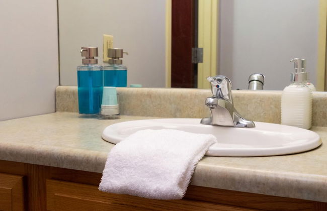 2 Bedroom 2 Bathroom The Heart of Pittsburgh - Foto 15