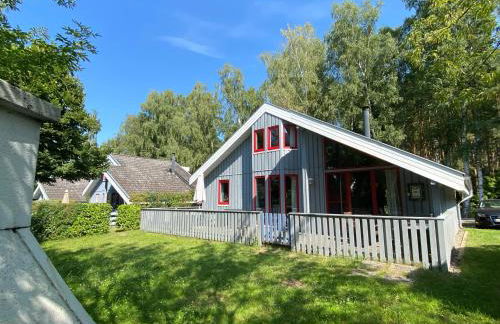 Wildgans 85 - Foto 1