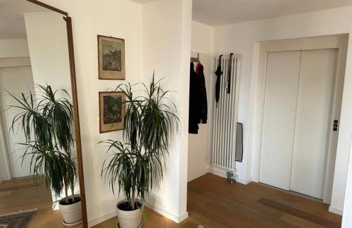 Premium Penthousewohnung zentral im Dreiländereck! - Perfekt angebunden - Tiefgarage, Lift - hochwertige Vollaustattung - Foto 16