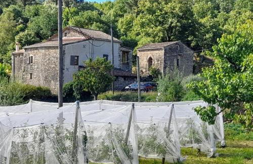 Gite rural au calme en Cévennes Gardoises - Foto 11