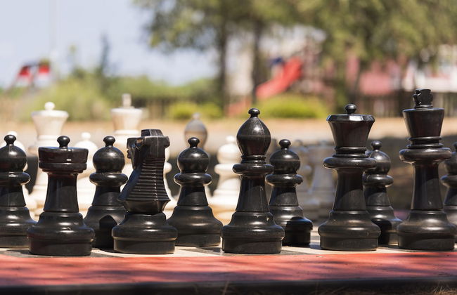 Apartments Katoro Plava Laguna - Foto 24