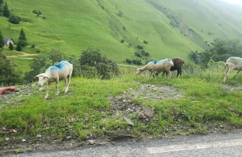 VUE PANORAMIQUE SUR LES PYRÉNÉES - Photo 20