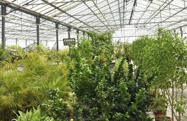 Belvilla by OYO Menotti - Foto 27