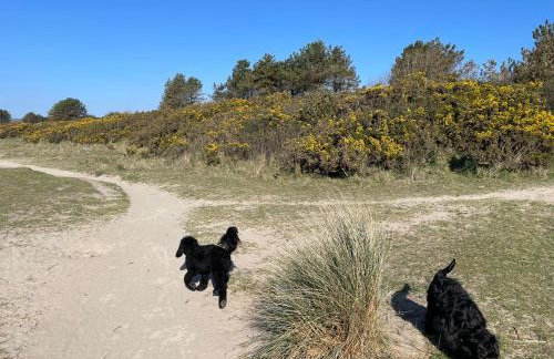 Golden Dunes Retreat, Dog-Friendly Stay at Par Sands Holiday Park, Cornwall - Photo 27