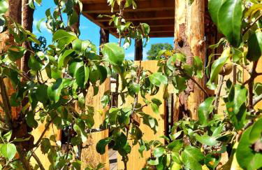 Cabane insolite TOUT CONFORT Chalet Gites Luzy Morvan Bourgogne - Foto 11