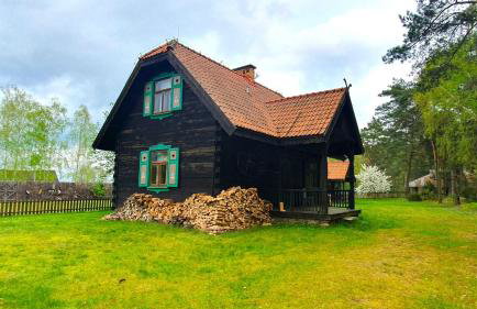 Czworaki Dworskie - Kiermusy - Foto 18