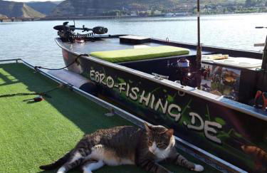 Ebro Fishing Exlusiv Appartment - Photo 12