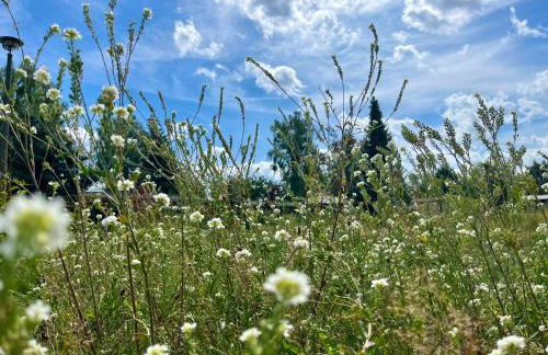 Haus 2 am Grimnitzsee - hochwertiges Design, mit eigenem Garten und nah am See - Foto 32