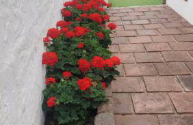 Casita Los Celajes - Foto 3