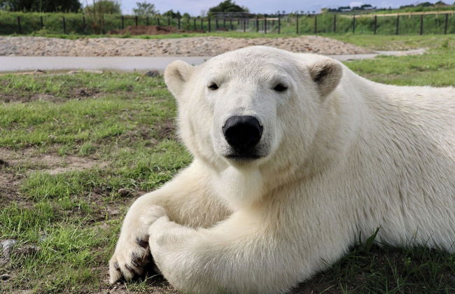 1 Bed Barn Alton Towers Xmas Markets Chatsworth - Foto 9