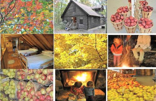 Spacious and Rustic Cabin Rental in the Woods near Catoctin Mountain Park, Maryland - Foto 21