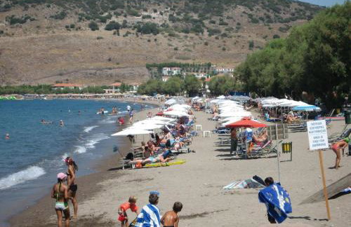 Gaea Gardens Studios - Foto 23