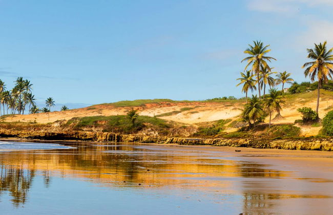 Excursion à la plage de Lagoinha + Balade en buggy - Photo 1