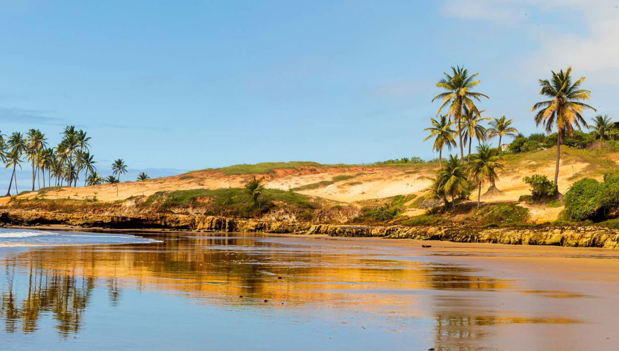 Excursión a la playa de Lagoinha + Tour en buggy