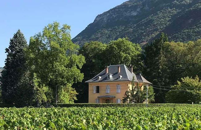 Balade en segway dans Chignin + dégustation de vins - Photo 5