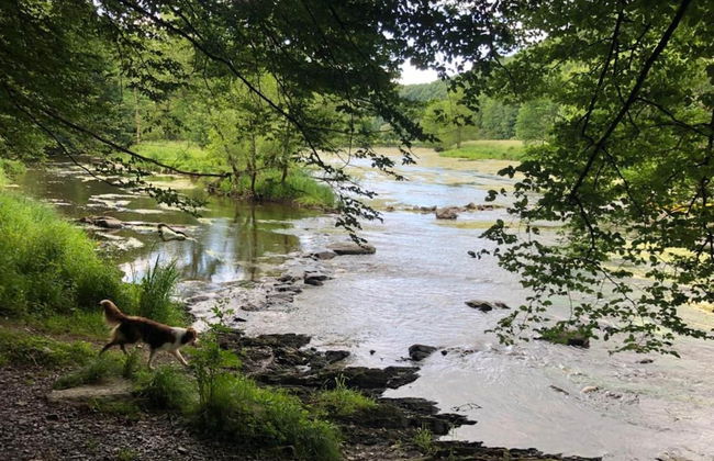Spacious Holiday Home in Vresse-sur-semois With Terrace - Photo 38