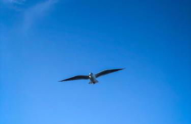 Ferienwohnung Glücks-Burg "Sonne" - Foto 26