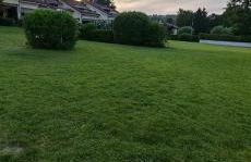 Dijana's Haus - Foto 18