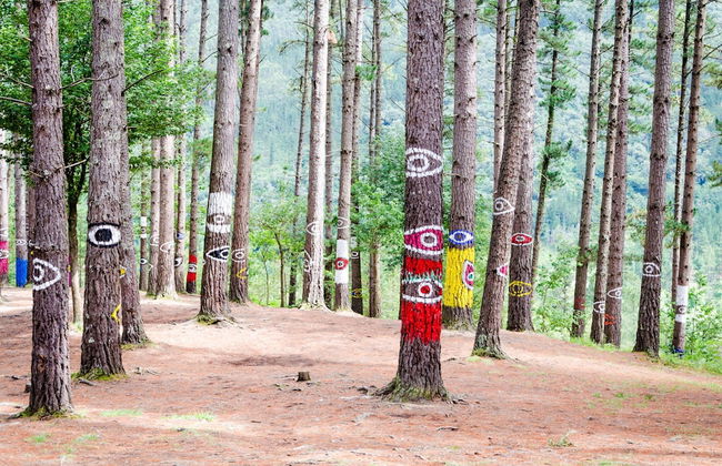 Casa Rural Arboliz - Photo 47