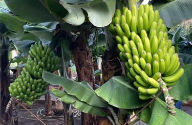 Relax Monís Incredible Ocean Views - Foto 20