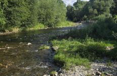Domek GORCZAŃSKA KOLIBA w Gorcach - Foto 37
