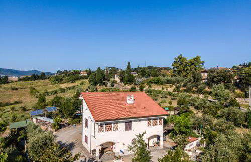 Sole Verde green house - Foto 10