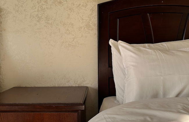 Alnahas Plaza Hotel - Photo 8