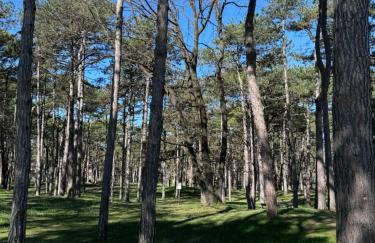 Villa Vittoria - Foto 67