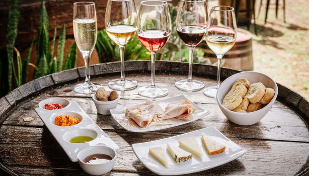 Dégustation de vins et de tapas